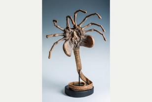 Face hugger model by Terry English which will be on display at Royal Cornwall Museum’s forthcoming exhibition All Monsters Great and Small